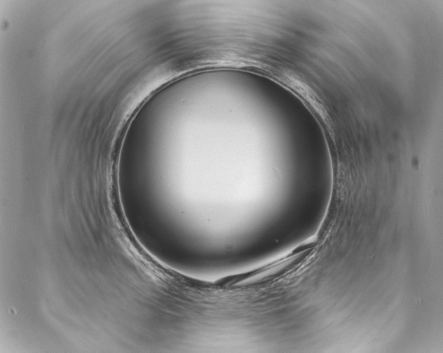 X0000088081187200705111425