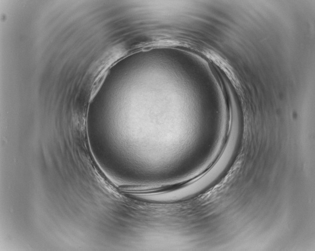X0000088081193200705111425