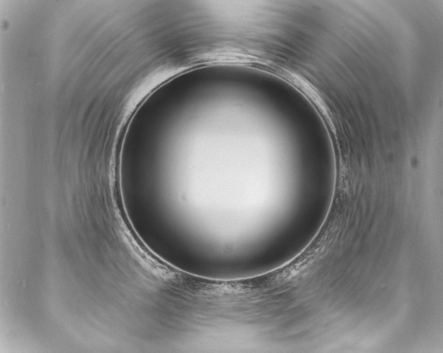 X0000088081195200705111425