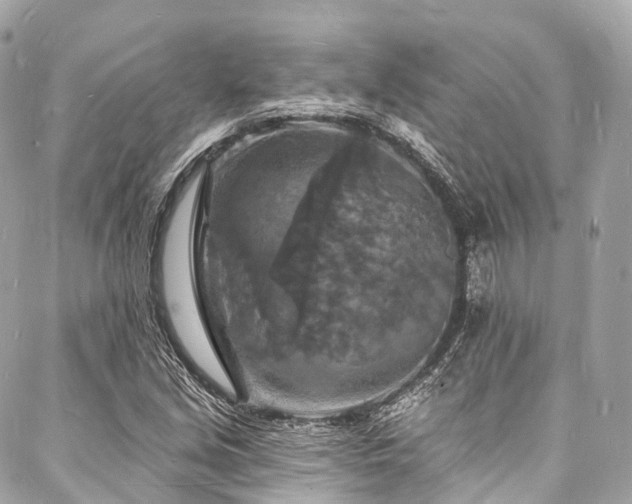 X0000088081213200705111424