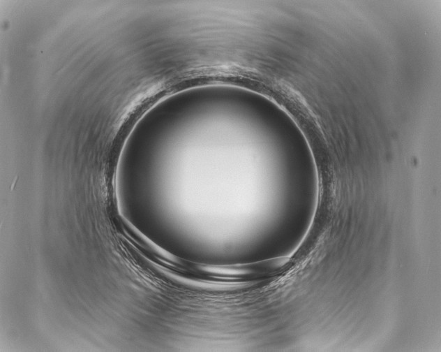 X0000088081218200705111424