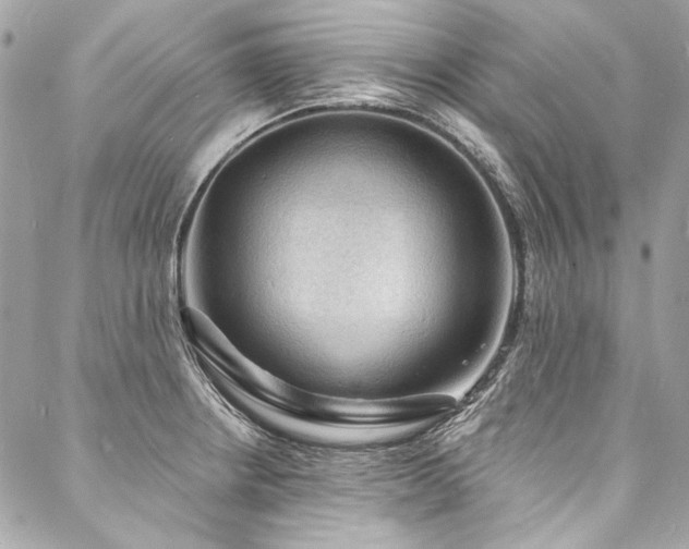 X0000088081234200705111425