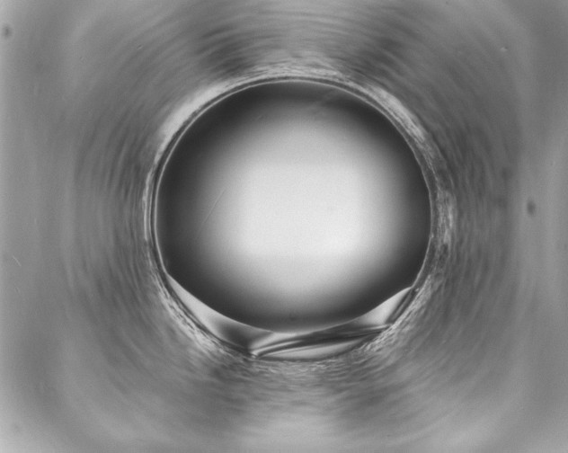 X0000088081246200705111425