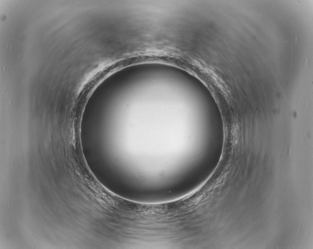 X0000088081262200705111424