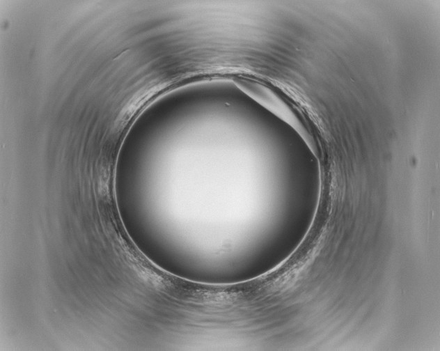 X0000088081273200705111424
