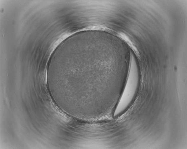 X0000088081276200705111424