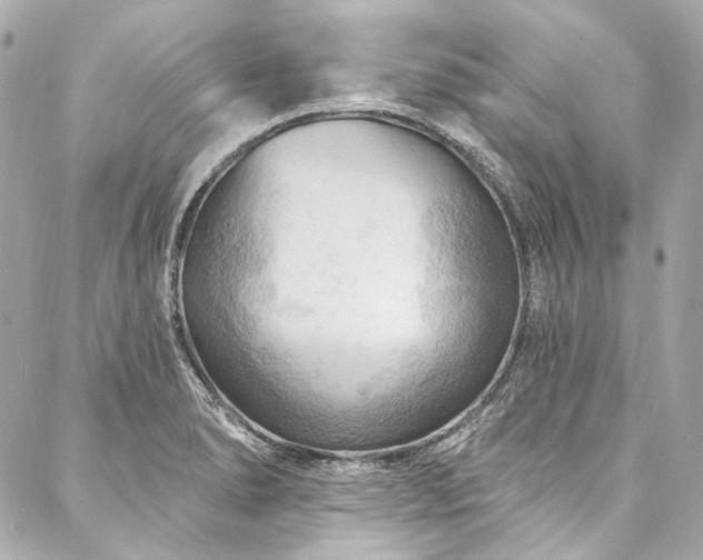 X0000088081278200705111423