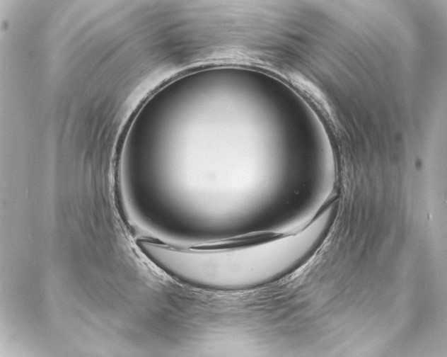 X0000088081288200705111423
