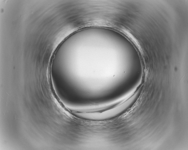 X0000088081293200705111423