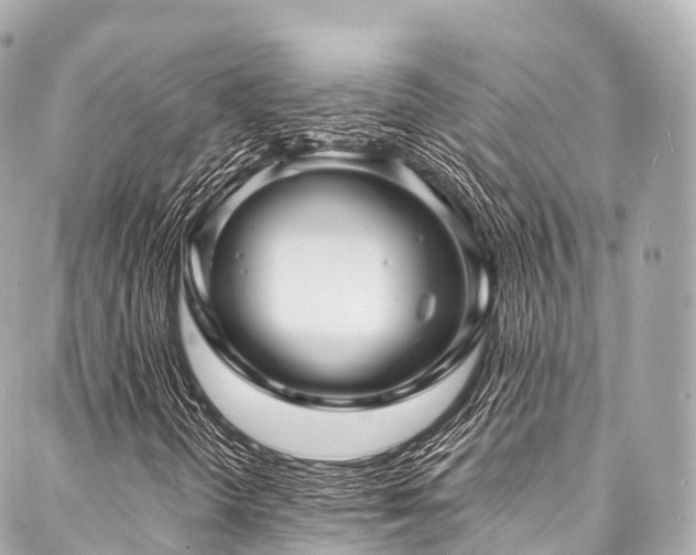 X0000088081298200705111422