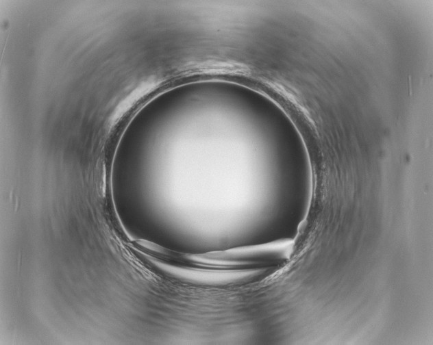 X0000088081317200705111423