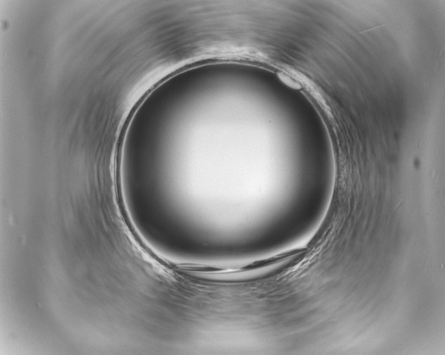 X0000088081343200705111423