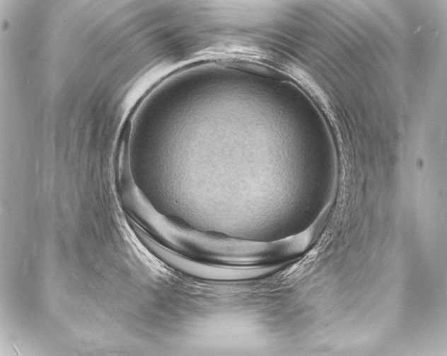 X0000088081344200705111423