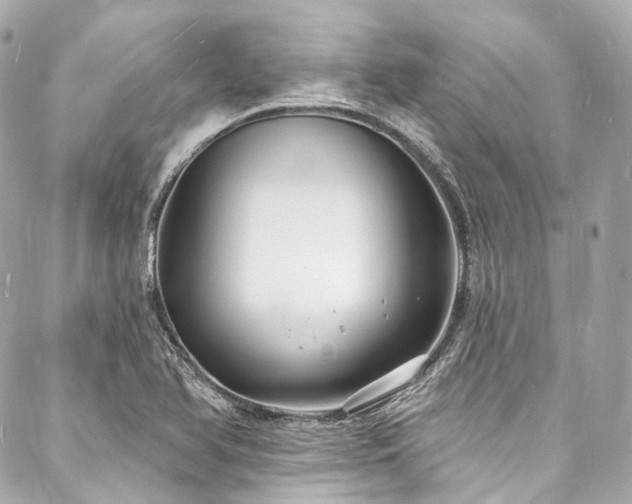 X0000088081366200705111422