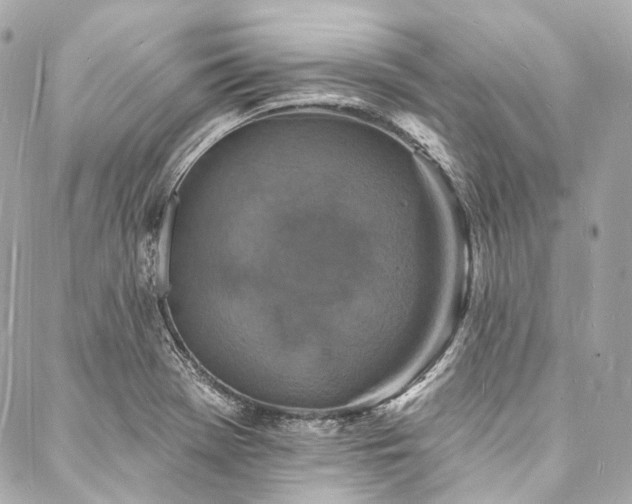X0000088081369200705111422