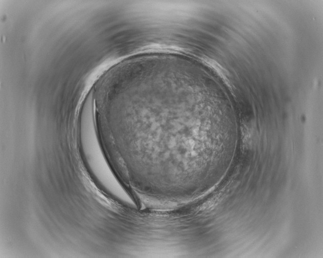 X0000088081371200705111422