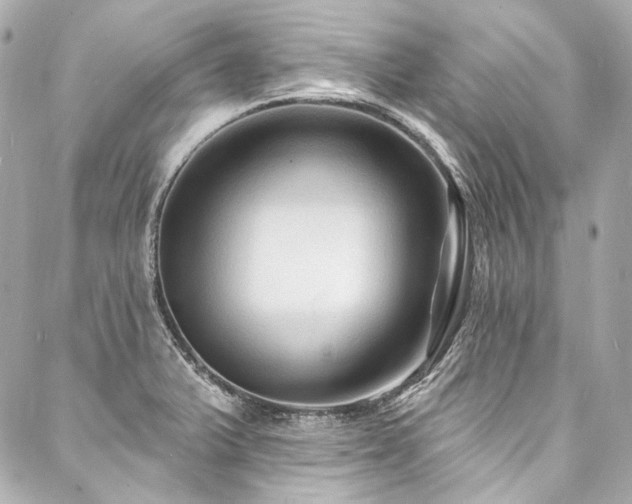 X0000088081375200705111422