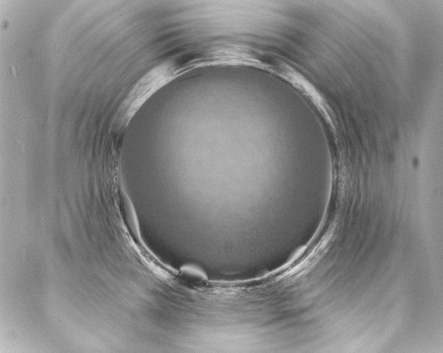 X0000088081385200705111422