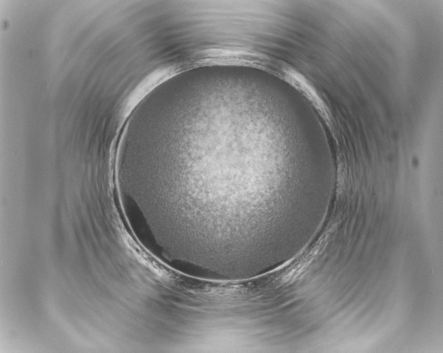 X0000088081386200705111422