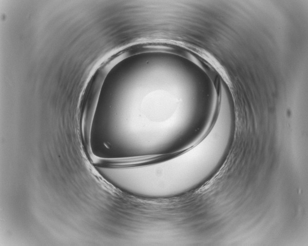 X0000088081388200705111422
