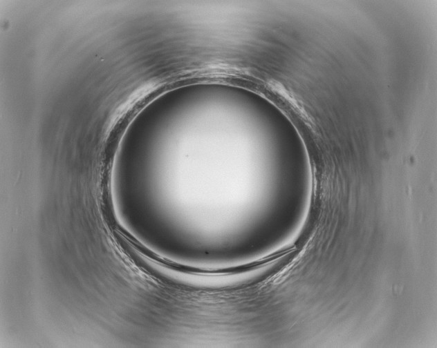 X0000088081410200705111421