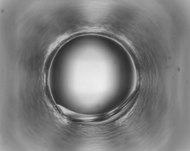 X0000088081414200705111421