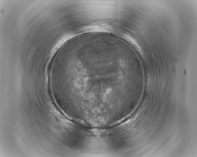 X0000088081419200705111421