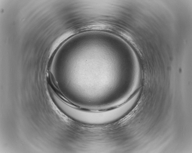 X0000088081426200705111421