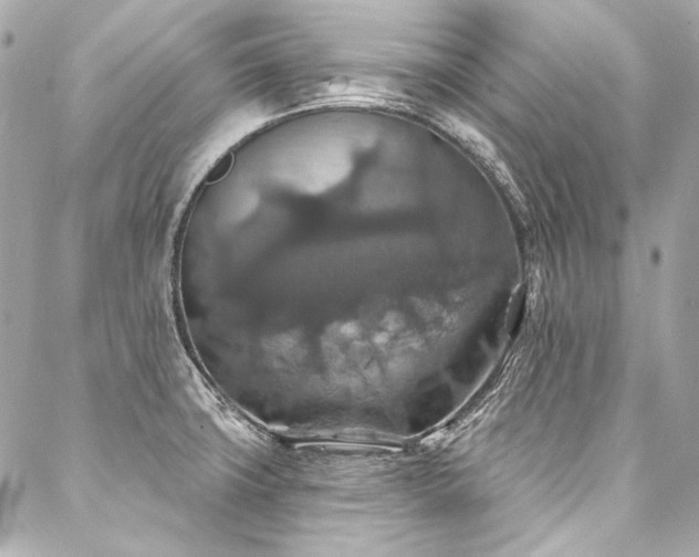 X0000088081427200705111421