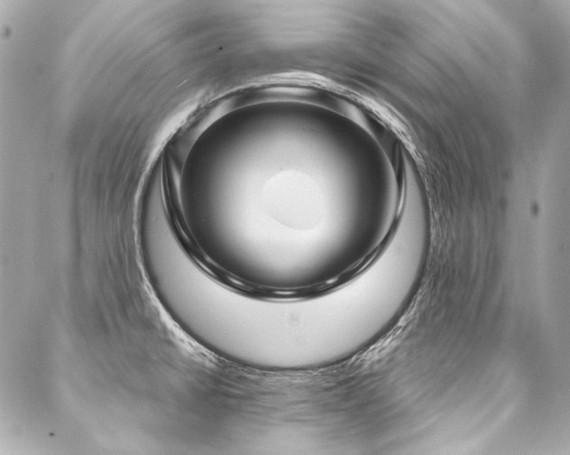 X0000088081430200705111421