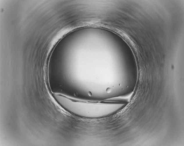 X0000088081432200705111421