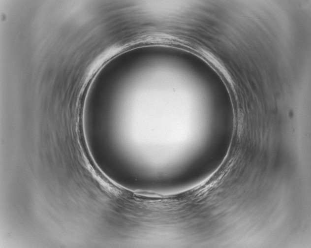 X0000088081437200705111422