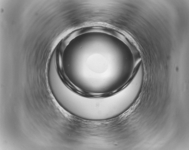 X0000088081438200705111422