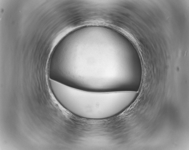 X0000088081440200705111422