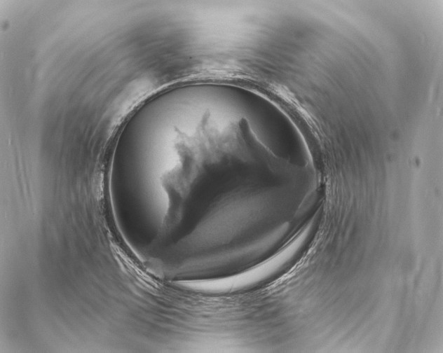 X0000088081459200705111421