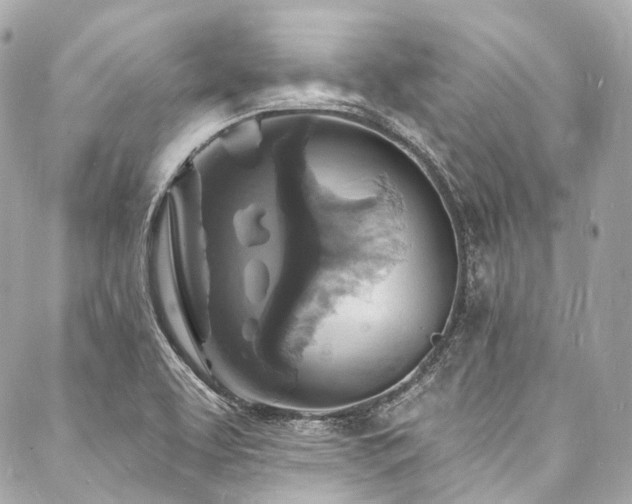 X0000088081463200705111420