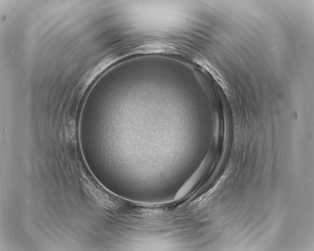 X0000088081465200705111420