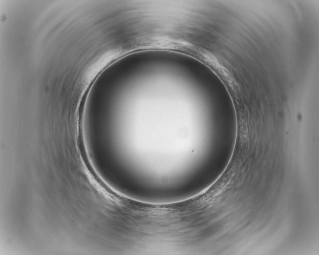 X0000088081479200705111420