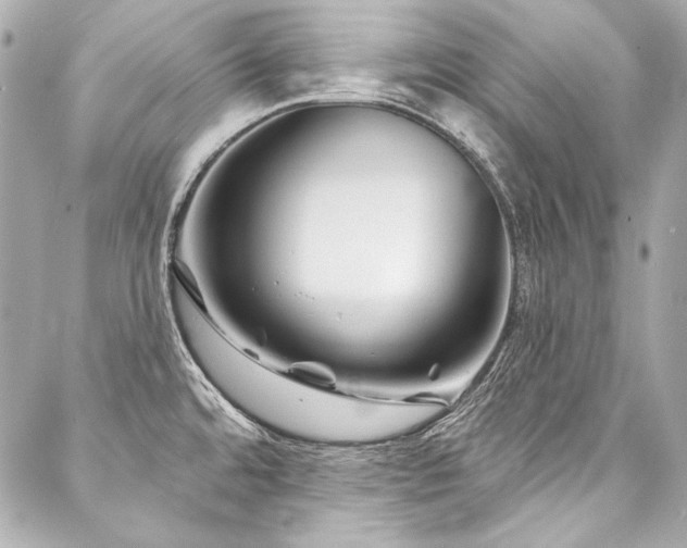 X0000088081480200705111420