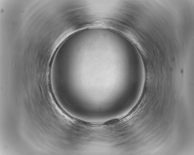 X0000088081484200705111420