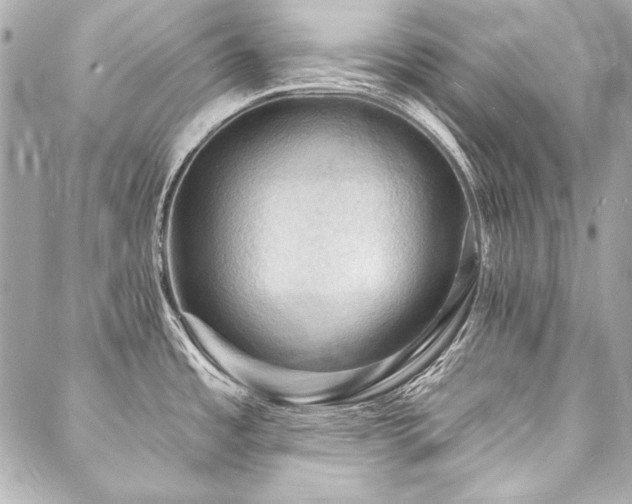 X0000088081485200705111420
