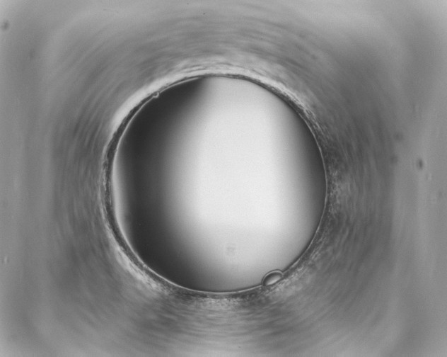 X0000088081518200705111420