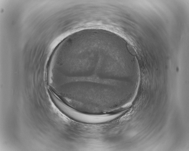 X0000088081527200705111420