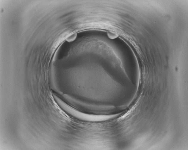 X0000088081529200705111420