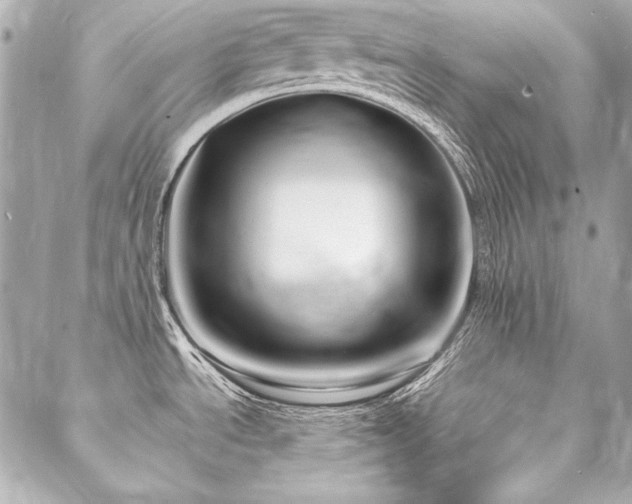 X0000088081534200705111420