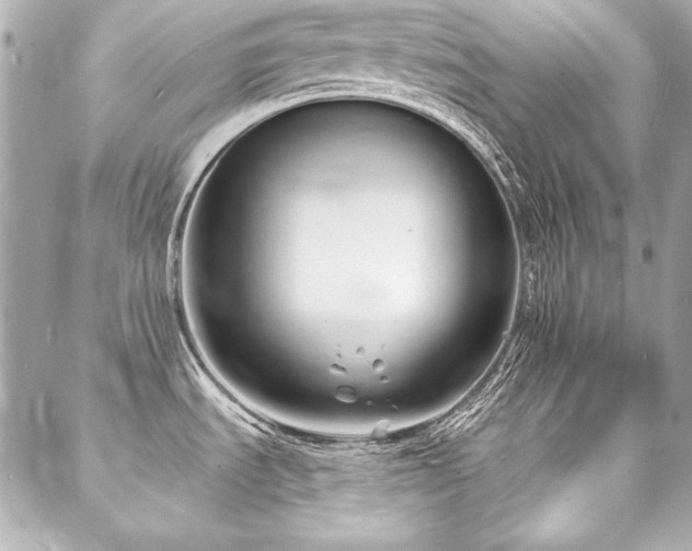 X0000088081535200705111420