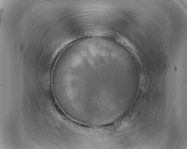 X0000088080012200705182243