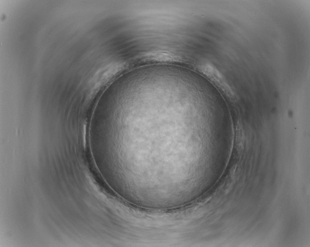 X0000088080014200705182243