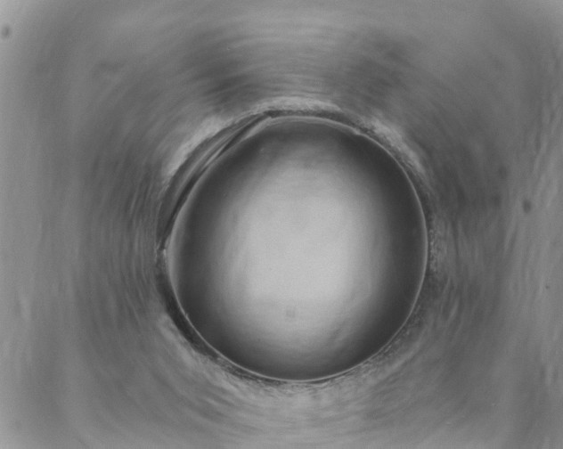 X0000088080015200705182243