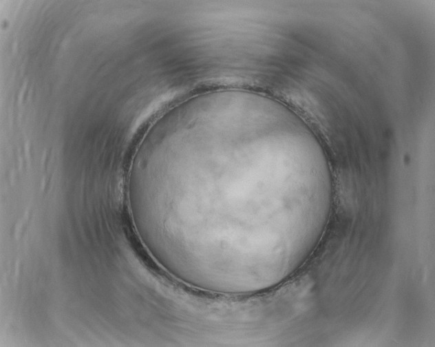 X0000088080016200705182243